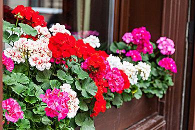 育碧《纪元1800》主机版3月16日推出